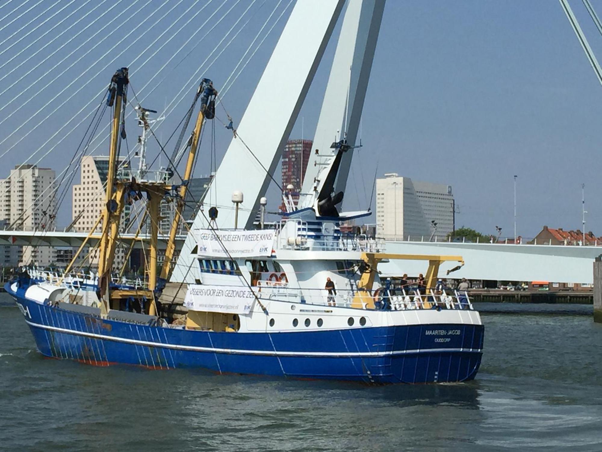 B&B Prive Tiny House Bij Zee Stellendam Bagian luar foto